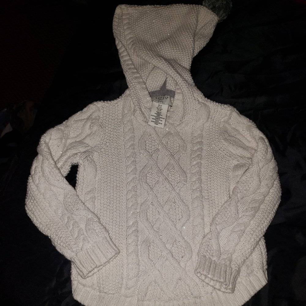 # 133 Aspen Beautiful 3T Hooded Sweater